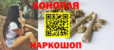 сатива Краснодар